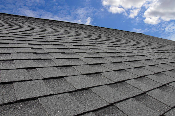 Best Roof Ventilation Installation  in Pilot Mountain, NC